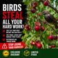 4PCS Bird Repellent Tape
