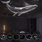 🌌Plug-and-Play HD Galaxy & Ocean Projector Night Light🥳– Dual Modes, Interchangeable Films & USB Powered